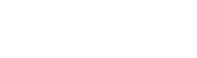 Logo VIZURI em branco da capa do caderno