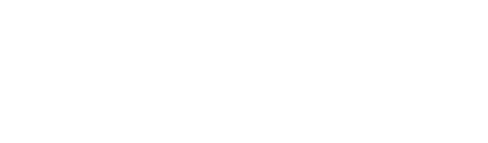 Logo VIZURI em branco das polos